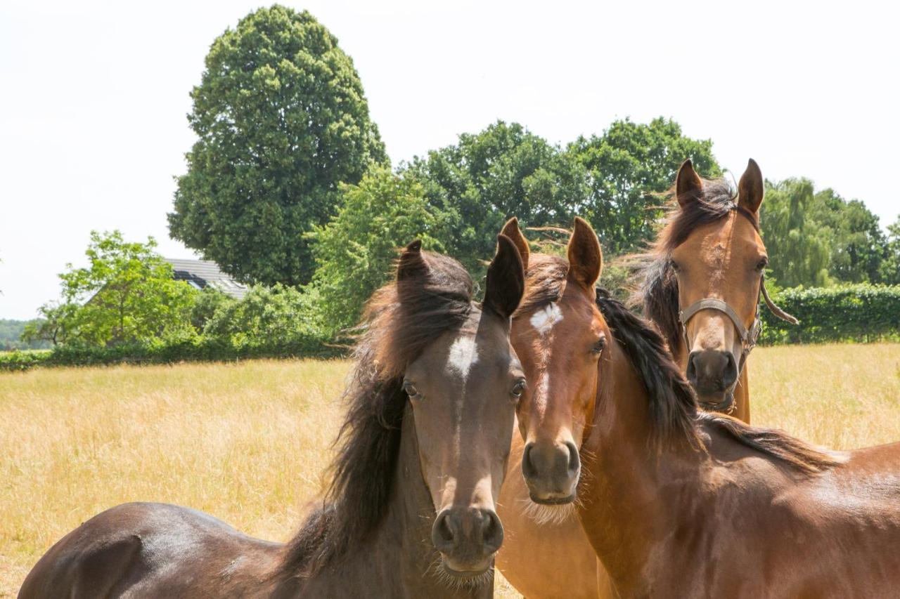 B&B De Nieuwenhof 'De Voorkamer' Melderslo Exterior foto